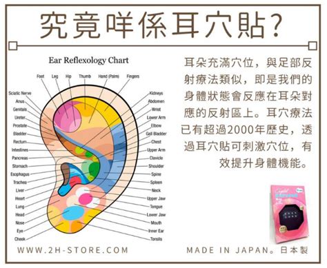 耳穴貼是什麼|耳穴療法